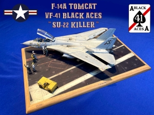 F-14 VF-41 intro